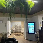 Hotel Soimul 3*
