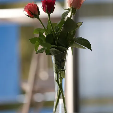 Soimul Hotel Braşov