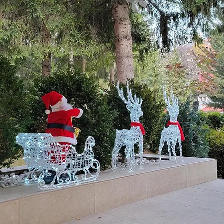 Hotel Soimul Brašov